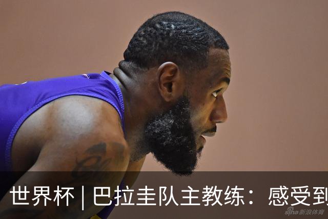 世界杯 | 巴拉圭队主教练：感受到比赛的极致压力