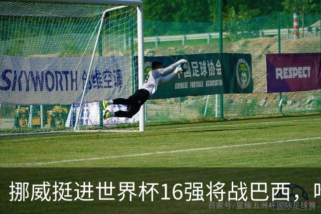 挪威挺进世界杯16强将战巴西，哈兰德发声