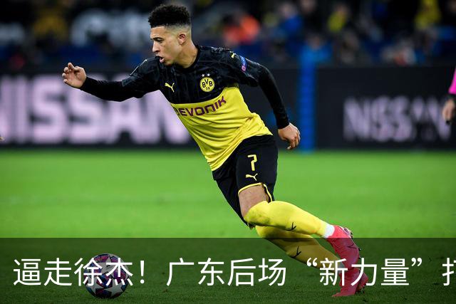 逼走徐杰！广东后场“新力量”打成大腿，杜锋为他放弃控卫外援！